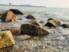 -宝安西湾红树林湿地公园