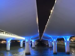 -演武大桥观景平台