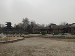 -北京世界公园
