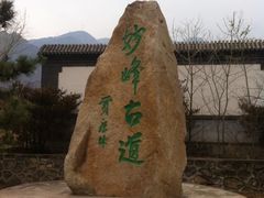 -阳台山自然风景区