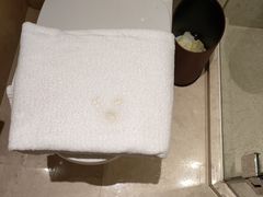 -上海雅居乐万豪侯爵酒店