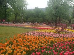 -北京植物园南门售票处