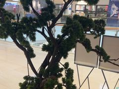 -九田家黑牛烤肉料理(溧阳吾悦店)