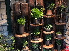 -慢丽江·云南野生菌土鸡锅(付家庄店)