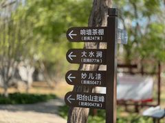 -阳台山自然风景区