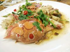 -长平老姿娘夜粥(平东一街店)