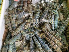 -南沙十九涌渔人码头-南门