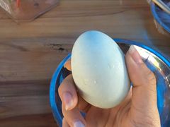 -东寨港红树林旅游区