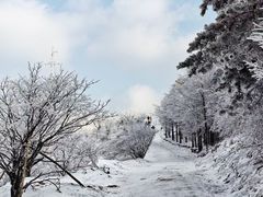 -四明山国家森林公园