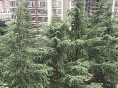 -西南交通大学(九里校区)