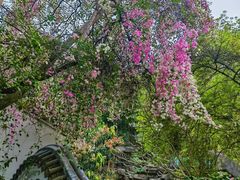 -深圳国际园林花卉博览园