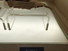 -旅顺博物馆