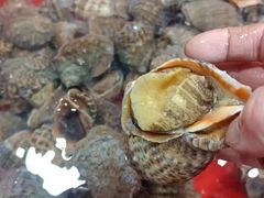 -天云活海鲜家菜馆·海鲜大咖(栈桥店)