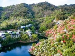 -木兰云雾山