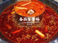 番茄鸳鸯锅-蜀滋香鲜鱼美蛙火锅(339店)