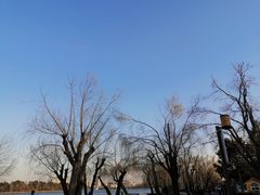 -长春市南湖公园