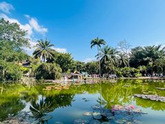-中国科学院西双版纳热带植物园