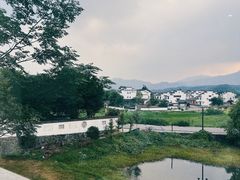 -黄牛肉馆·皖南土菜