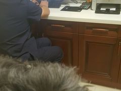 -美联众合动物医院·24h转诊中心