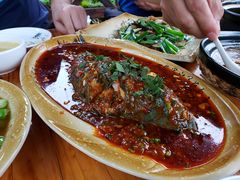 藿香豆瓣鱼-青城甲(青城山店)