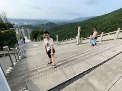 -铁山坪森林公园