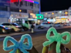 -纯肴大东北(新城北街店)