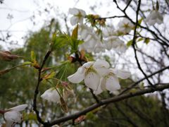 -白塘生态植物园