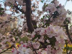 -元大都城垣遗址公园