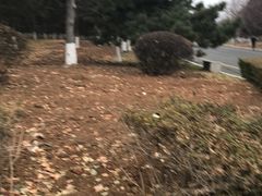 -长春世界雕塑园冰雪艺术天地