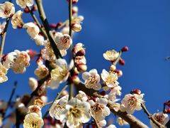 -丽江泸沽湖景区