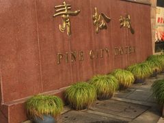 -上海青松城大酒店