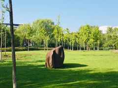 -东华大学(松江校区)