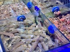 -开海·红岛海鲜虾水饺(石老人店)