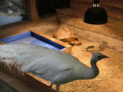 点击看大图 -Zoolung Zoolung动物主题公园(海信广场店)