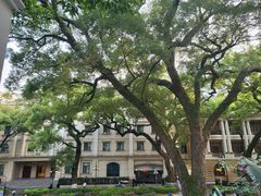 -星巴克臻选(广州沙面店)