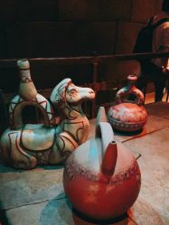 -翱翔飞越地平线