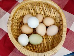 -天毓山庄·餐厅