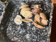 -新哥老官·畅吃123·美蛙世界(苏宁广场店)