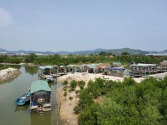 -大亚湾红树林城市湿地公园