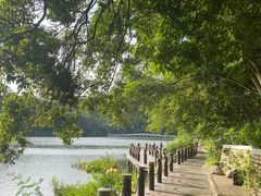 -深圳仙湖植物园