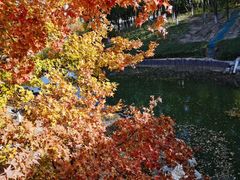 -大兴滨河森林公园