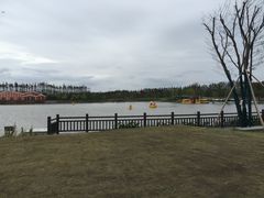 -上海长兴岛郊野公园