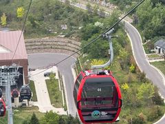 -王莽岭风景区