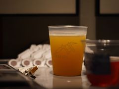 -MEDISN·药厂