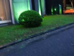 -御花园·粤菜·海鲜火锅(中山公园店)