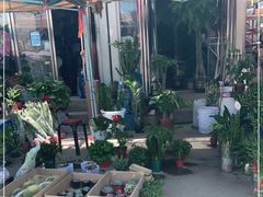 -中环花鸟鱼虫市场