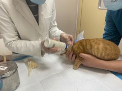 -安安宠医·臻爱宠物医院·宠保定点(营门口路分院)