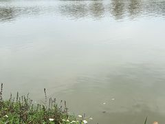 -海珠湖公园