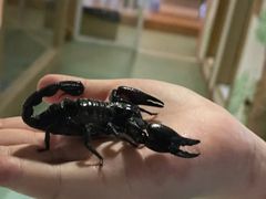 -藦茜花园宠物主题亲子互动体验馆(国顺东路店)