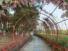 -凤凰沟景区